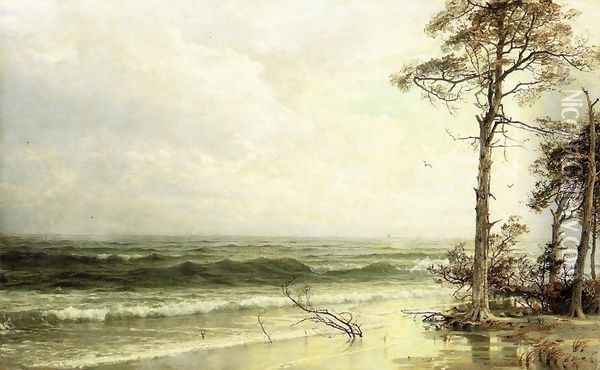Cedars on the Shore Near Atlantic City Oil Painting - William Trost Richards