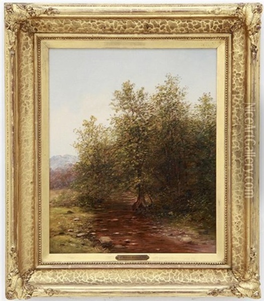 Southern Landscape With Stream Oil Painting - Thomas Addison Richards
