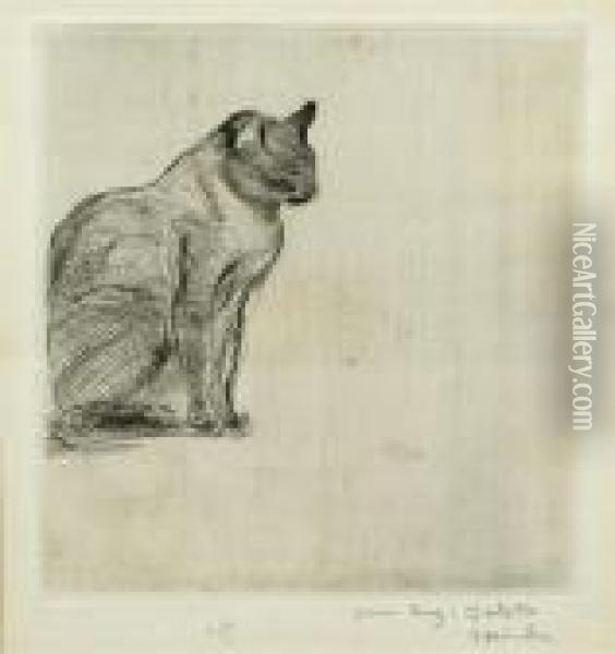 Seated Cat. Oil Painting - Theophile Alexandre Steinlen