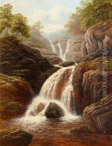 Swallow Falls On The Machno Oil Painting - William Mellor