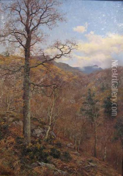 Woodland View Oil Painting - Walter Boodle