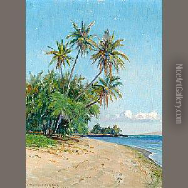 Hawaiian Beach With Palm Trees Oil Painting - David Howard Hitchcock