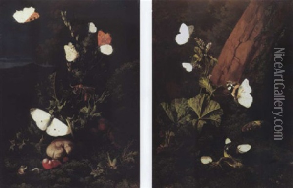 A Forest Floor Still Life With Butterflies And Snails, A Landscape Beyond; A Forest Floor Still Life With Butterflies And Lizards Oil Painting - Elias van den Broeck