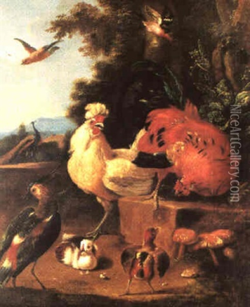 Coqs Et Oiseaux Oil Painting - Melchior de Hondecoeter