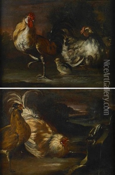 A Cockerel, Chicken And Chicks In A Landscape (+ Two Cockerels And A Lizard In A Landscape; Pair) Oil Painting - Giovanni Agostino (Abate) Cassana