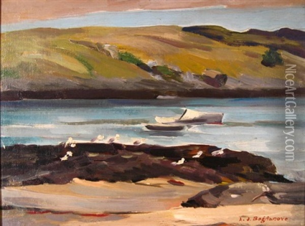 Cove With Boat And Seagulls Oil Painting - Abraham Jacob Bogdanove