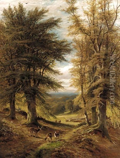 Deer In A Woodland Clearing Oil Painting - Alfred Glendening