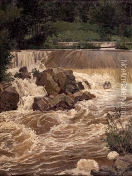 Hochwasser Am Wehr Oil Painting - Josef Beyer