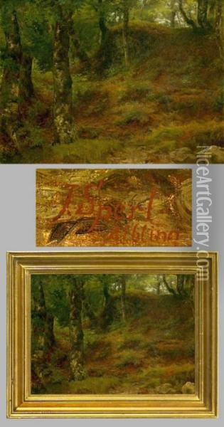 Waldlichtung Bei Aibling Oil Painting - Johann Sperl
