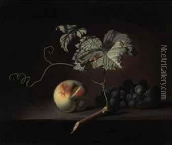 A Peach And Grapes On A Ledge Oil Painting - Simon Pietersz. Verelst
