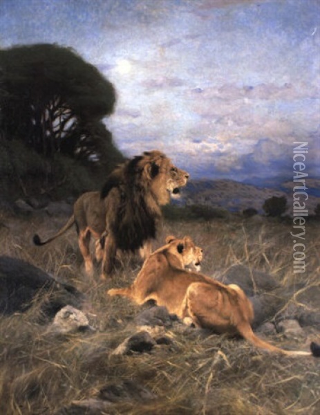 African Lions Oil Painting - Wilhelm Friedrich Kuhnert
