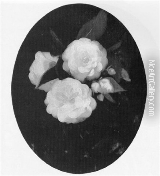 White Camellias Oil Painting - Stuart James Park