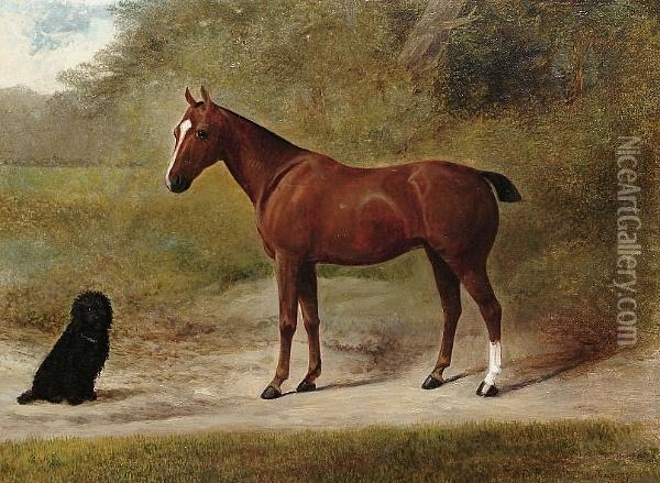 A Pony With A Terrier Oil Painting - William Josiah Redworth