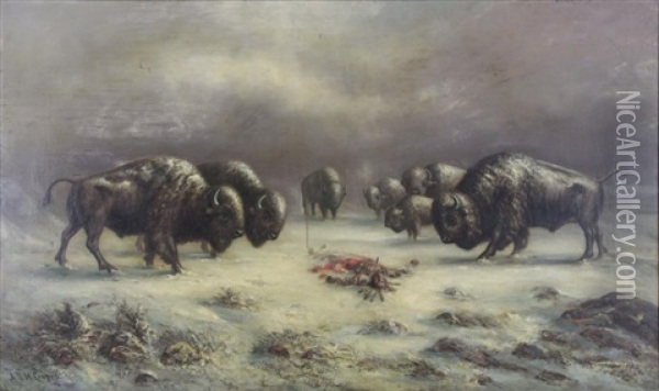 Buffalo Tribute To Fallen Indian Oil Painting - Astley David Middleton Cooper