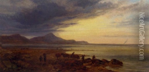 Carting Seaweed On The Irish Coast Oil Painting - George Shalders