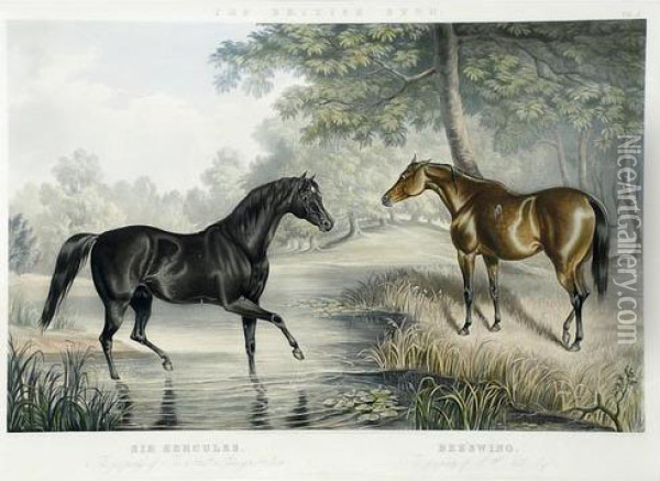 Portraits Of Celebrated Stallions Andmares Oil Painting - John Frederick Herring Snr