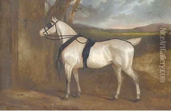 A grey carriage horse Oil Painting - Charles Hancock