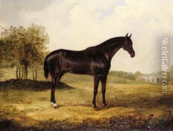 Bay Horse In A Landscape Oil Painting - Henry Calvert