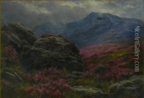 A Highland Study, Dumfrieshire Oil Painting - James Jnr Faed