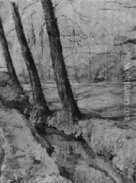 Baume An Einem Bach Oil Painting - Josef Mangold