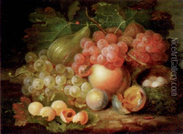 Still Life With Grapes And Figs Oil Painting - George Forster