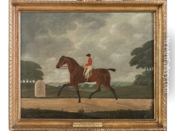 Phenomena, The Celebrated Trotting Mare, With Jockey Up, On The Road To Cambridge Near Fenney Stanton Oil Painting - John Cordrey
