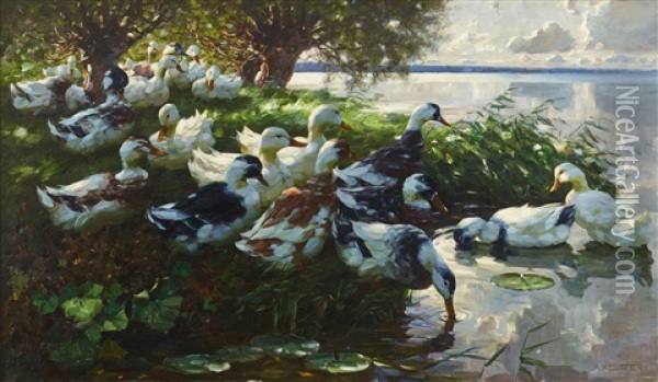 Ducks Resting By The Lake Oil Painting - Alexander Max Koester
