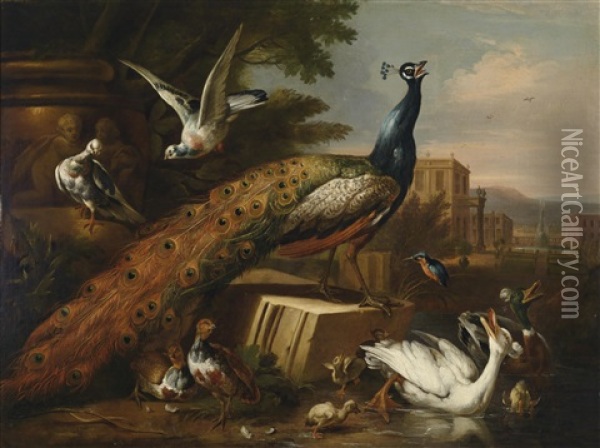 Ein Von Tauben, Huhnern Und Wasservogeln Umgebener Pfau In Einem Schlosspark Oil Painting - Pieter Casteels III
