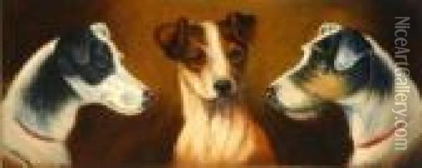 Study Of Three Terriers Oil Painting - John Arnold Wheeler