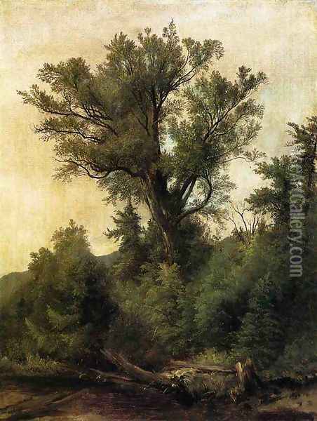 Woodland Stream Oil Painting - Asher Brown Durand