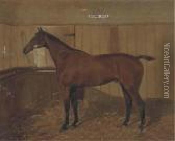 Brown Jack A Bay Hunter In A Stable Oil Painting - Walter Harrowing