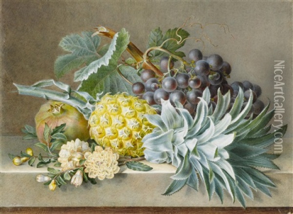 A Still Life With Pineapple, Grapes And Pomegranate Oil Painting - Pancrace Bessa