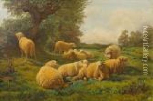 Sheep At Rest In A Meadow Oil Painting - Rosa Bonheur