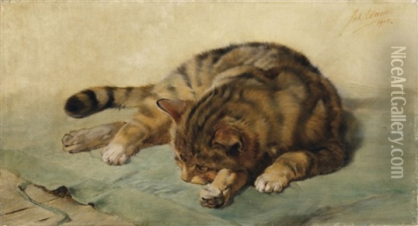 Liegende Katze Oil Painting - Julius Adam the Younger