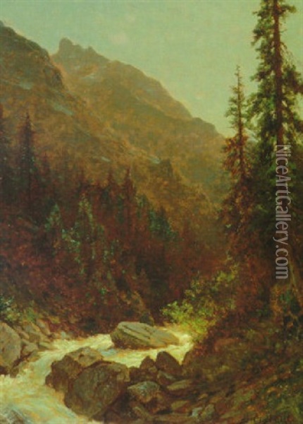 Rocky Mountain Stream Oil Painting - Albert Bierstadt