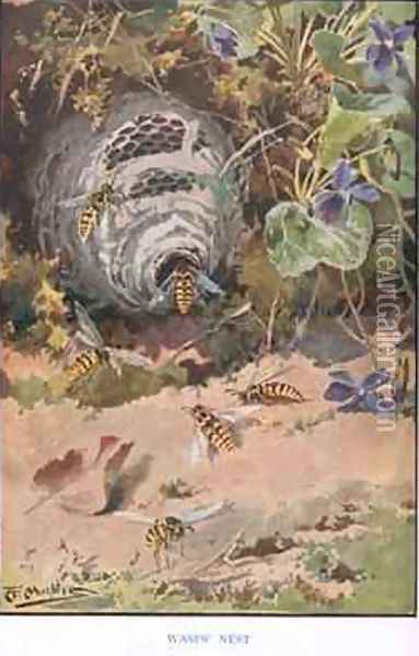 Wasps Nest illustration from Country Ways and Country Days Oil Painting - Louis Fairfax Muckley