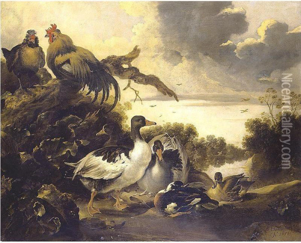 Fowl On A Riverbank Oil Painting - Gijsbert Gillisz. de Hondecoeter