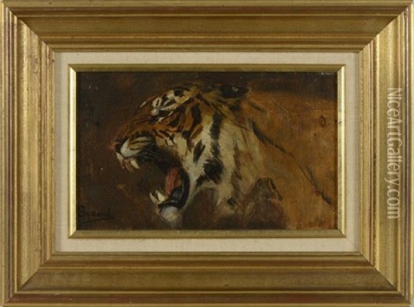 Tete De Tigre Oil Painting - Gustave Surand