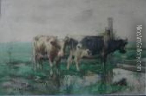 Cattle In A River Landscape Oil Painting - David Gauld