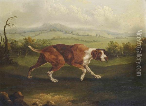A Spanish Pointer In An Extensive Landscape Oil Painting - Abraham Cooper