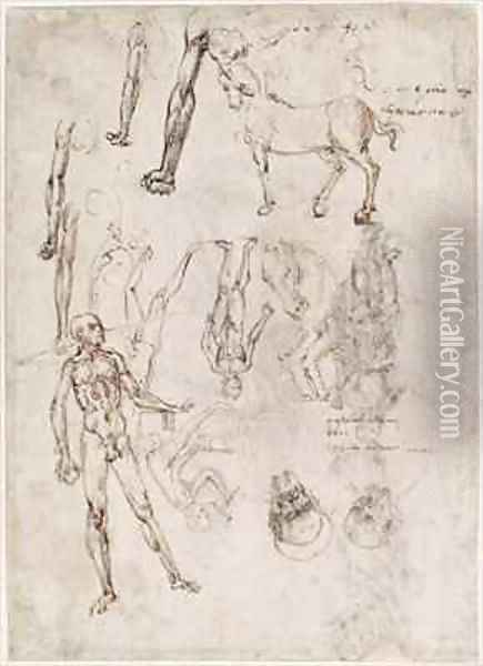 Sheet of studies with men and horses seated man striking an anvil two heads of saints Oil Painting - Francesco di Simone da Fiesole Ferrucci