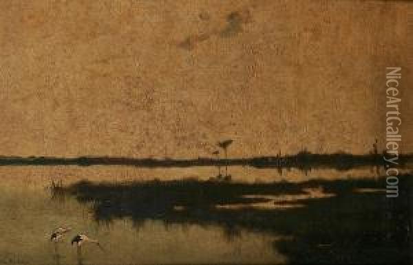 Extenisve Lake Landscape With Storks Oil Painting - Hilda Montalba