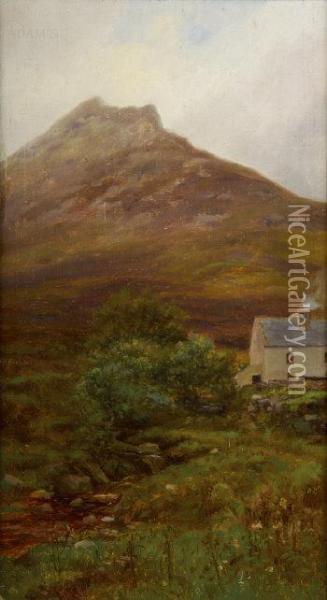 Donegal Mountain Farm Oil Painting - Alexander Williams