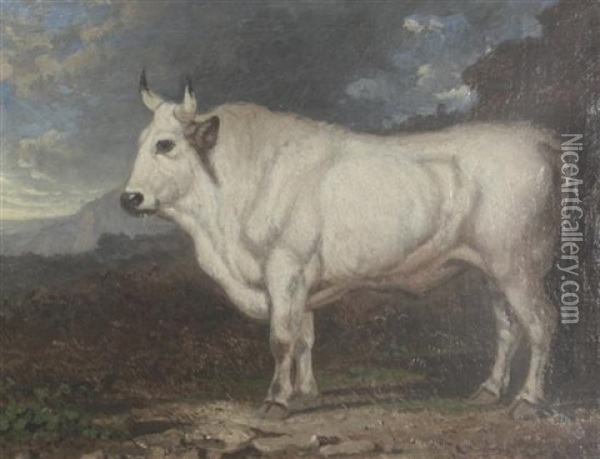 White Bull In A Landscape Oil Painting - Charles Caryl Coleman