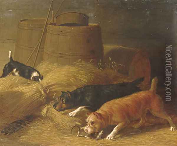 Rats amongst the Barley Sheaves Oil Painting - Thomas Hewes Hinckley
