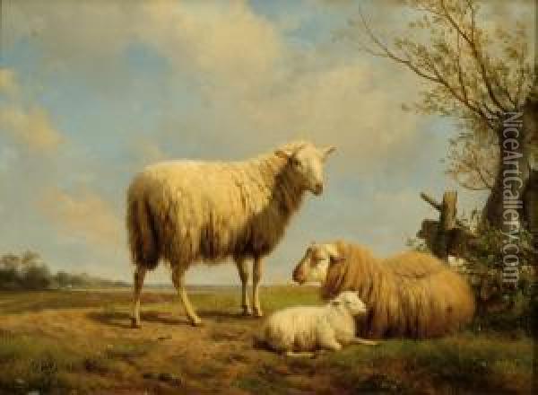 Three Sheep In A Meadow Oil Painting - Hendrikus van den Sande Bakhuyzen
