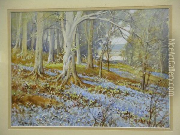 Blue Bell Woods Oil Painting - Thomas, Tom Campbell