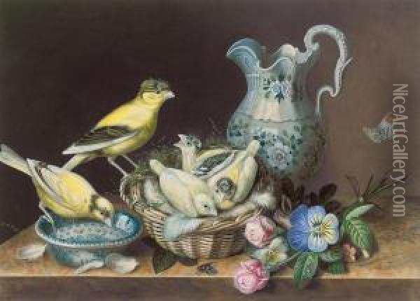 Still Life Of Two Canaries, A Nest Of Chicks, A Butterfly, Flowers And A Jug Oil Painting - Augusta Innes Withers