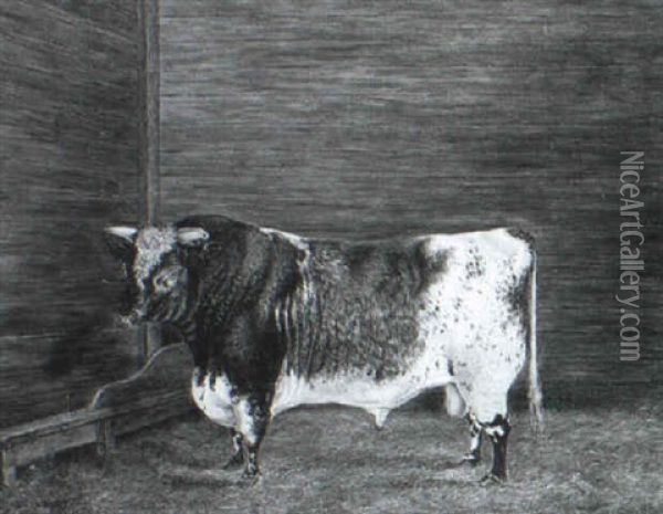 A Short Horn Bull Oil Painting - Frederick Clarke