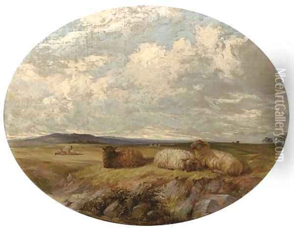 Sheep in a meadow Oil Painting - Edward Pritchard